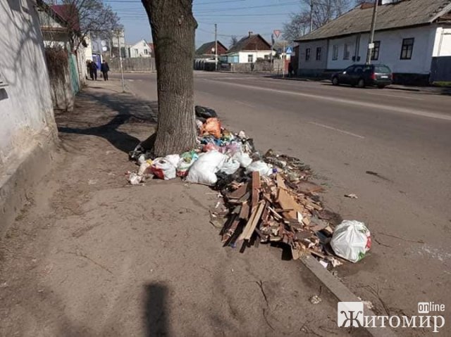 У Житомирі під деревами валяються гори сміття. ФОТО