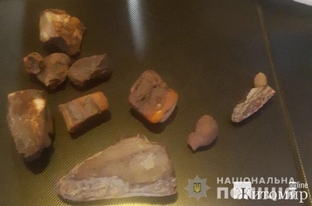  На Житомирщині поліцейські провели обшук у будинку скупника бурштину