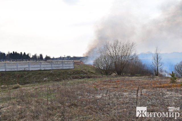 В одному з районів Житомирської області горить територія навколо кладовища. ФОТО
