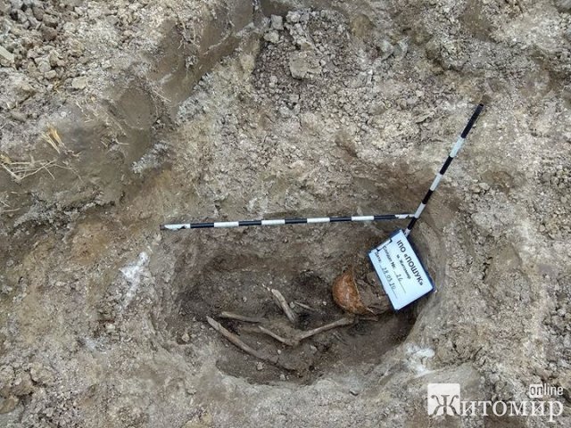  В одному з районів Житомирської області пошуківці розшукали останки солдат РСЧА. ФОТО