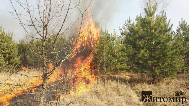 Вихідними на Житомирщині понад 300 працівників лісової охорони гасили пожежі