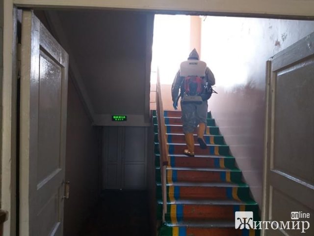 В Андрушівці працівники ДСНС дезінфікують дороги, тротуари та приміщення. ФОТО