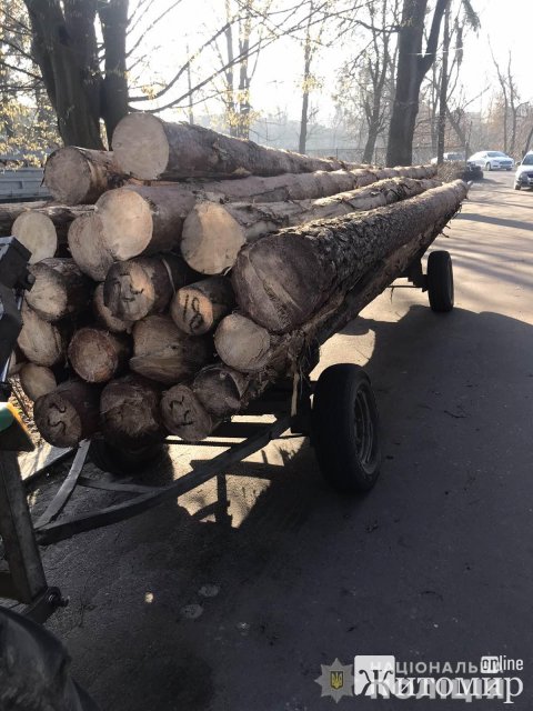 У селі Житомирської області зупинили трактор, який перевозив лісопродукцію: розпочато кримінальне провадження. ФОТО
