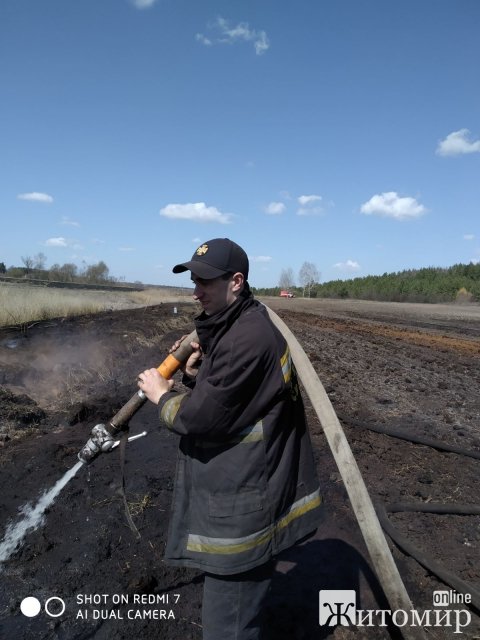  Рятувальники Житомирщини допомагали гасити пожежі в двох лісництвах. ФОТО