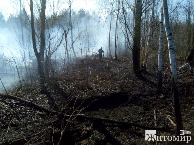  Рятувальники Житомирщини допомагали гасити пожежі в двох лісництвах. ФОТО