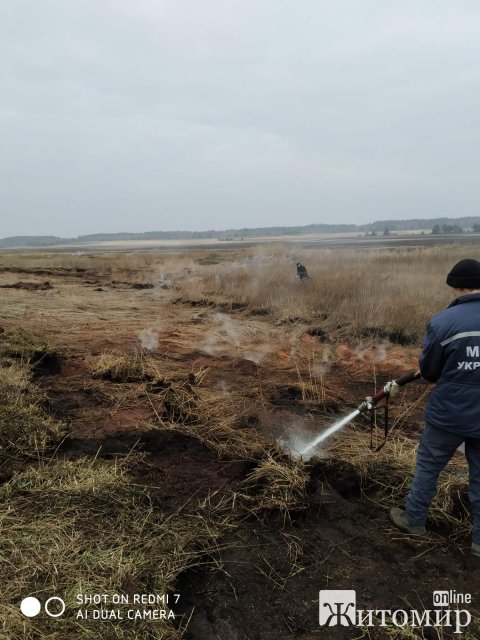  Рятувальники Житомирщини допомагали гасити пожежі в двох лісництвах. ФОТО