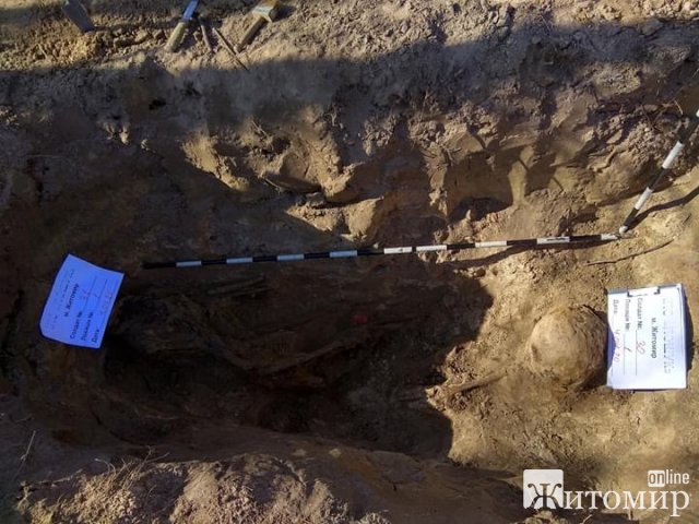На Житомирщині пошуківці знайшли рештки двох солдат та деякі речі. ФОТО