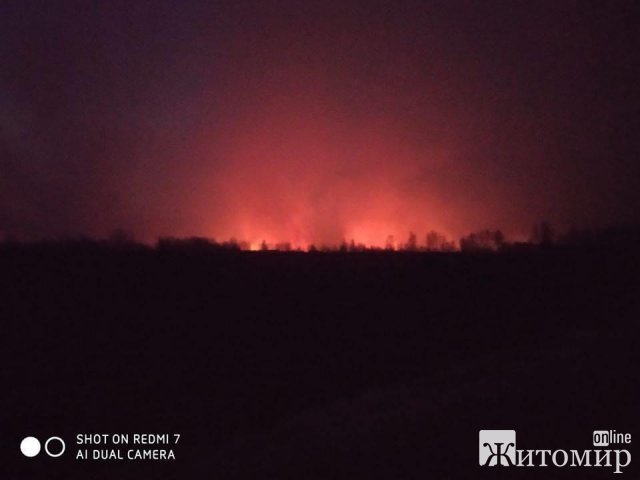 В одному з районів Житомирщини горять великі лісові масиви та територія біля сільради. ФОТО