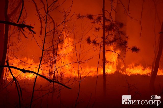 Овруцький район може повторити "долю" Австралії - горить все. ФОТО