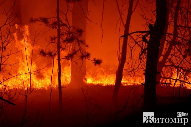 Овруцький район може повторити "долю" Австралії - горить все. ФОТО