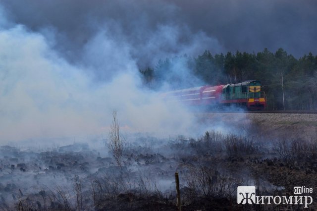 Десятки пожежних машин, чорний ліс та згорівші будинки - наслідки масштабної пожежі в Овруцькому районі. ФОТО