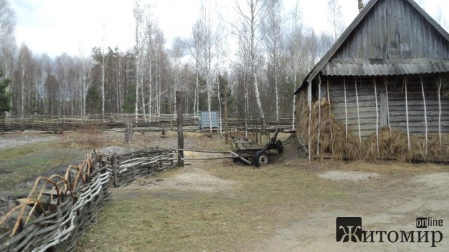 Жителька Житомира пригадала, який вигляд мала її маленька Батьківщина в Овруцькому районі до пожежі. ФОТО