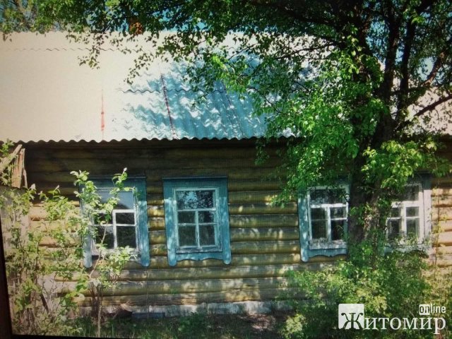 Жителька Житомира пригадала, який вигляд мала її маленька Батьківщина в Овруцькому районі до пожежі. ФОТО