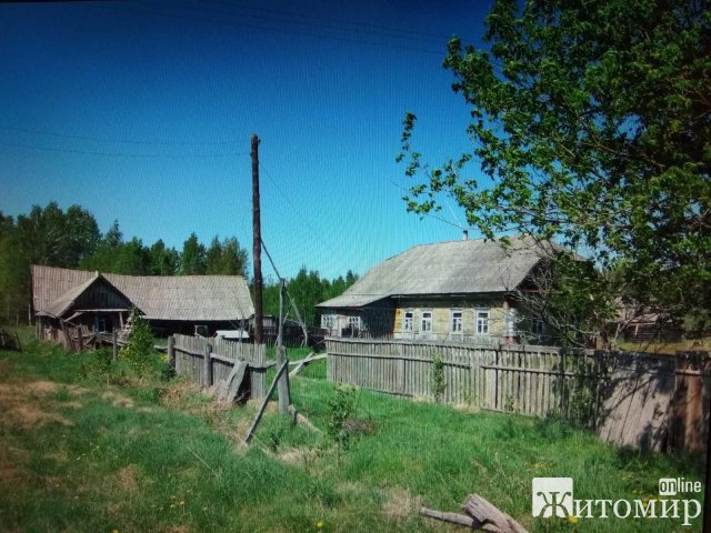 Жителька Житомира пригадала, який вигляд мала її маленька Батьківщина в Овруцькому районі до пожежі. ФОТО