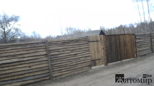 Жителька Житомира пригадала, який вигляд мала її маленька Батьківщина в Овруцькому районі до пожежі. ФОТО