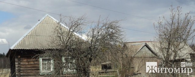 Жителька Житомира пригадала, який вигляд мала її маленька Батьківщина в Овруцькому районі до пожежі. ФОТО