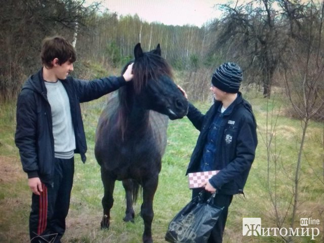 Жителька Житомира пригадала, який вигляд мала її маленька Батьківщина в Овруцькому районі до пожежі. ФОТО