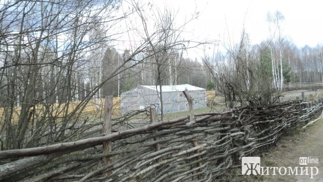Жителька Житомира пригадала, який вигляд мала її маленька Батьківщина в Овруцькому районі до пожежі. ФОТО