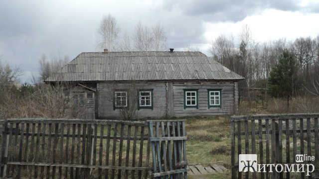 Жителька Житомира пригадала, який вигляд мала її маленька Батьківщина в Овруцькому районі до пожежі. ФОТО