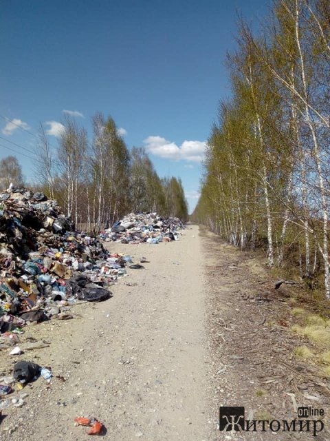 На околиці одного з сіл в Житомирській області виявили чотири "гори" з львівським сміттям. ФОТО