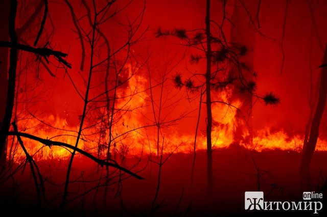 Вчителька вивезла з палаючого села Овруцького району двох дітей, які стояли в канаві по коліна у воді. ФОТО