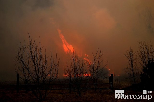Вчителька вивезла з палаючого села Овруцького району двох дітей, які стояли в канаві по коліна у воді. ФОТО