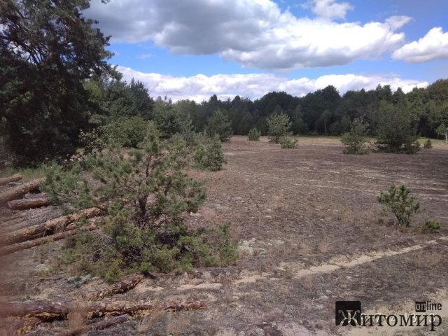 Житомирський науковець розповів про зміни клімату та пожежі в області. ФОТО