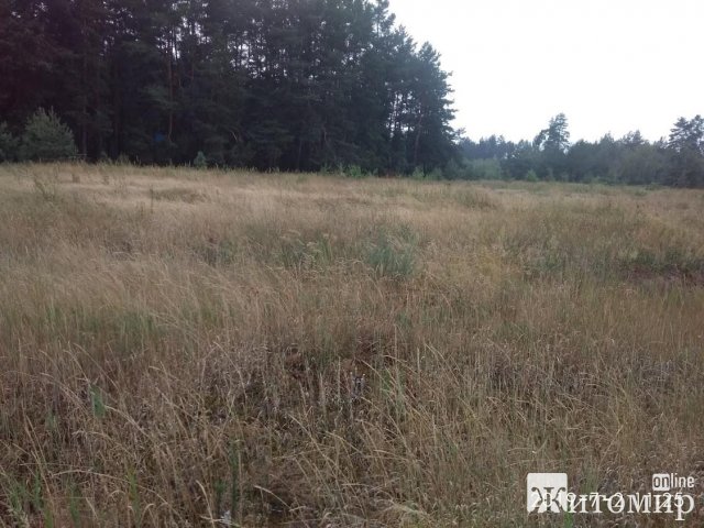 Житомирський науковець розповів про зміни клімату та пожежі в області. ФОТО