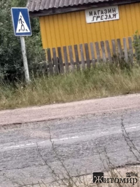 Житомирський науковець розповів про зміни клімату та пожежі в області. ФОТО