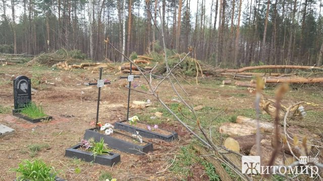 В одному з сіл Житомирської області після прибирання на кладовищі лишилися пошкоджені могили та купи дерев. ФОТО