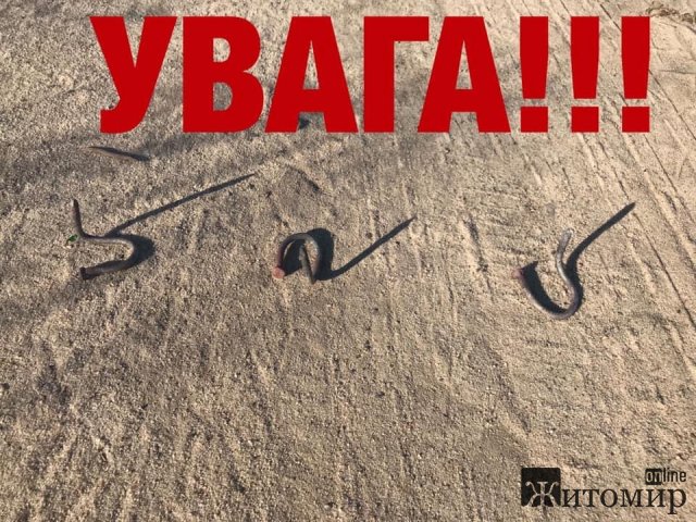 У Житомирському районі рибалка натрапив на 5 зігнутих цвяхів. ФОТО