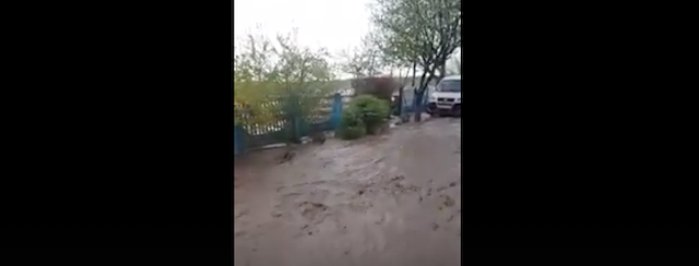 В Ружинському районі у людей через зливу позаливало городи. ВІДЕО В Ружинському районі у людей через зливу позаливало городи. ВІДЕО