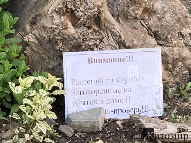 Чорна магія на Польовій у Житомирі. ФОТО Чорна магія на Польовій у Житомирі. ФОТО