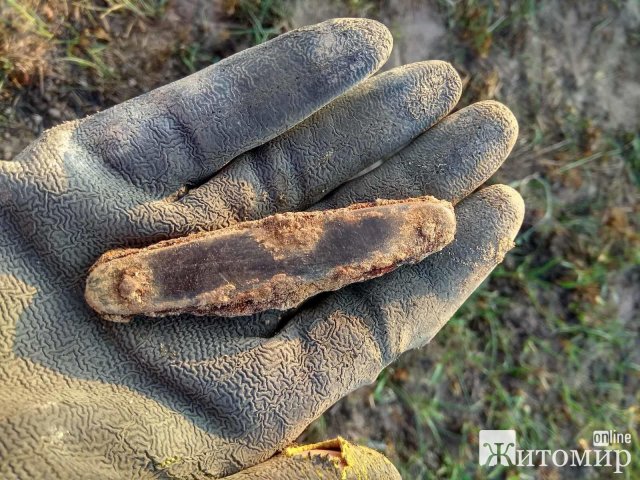 Пошуківці на Житомирщині відкопали рештки солдат РСЧА, поруч знаходились і речі. ФОТО