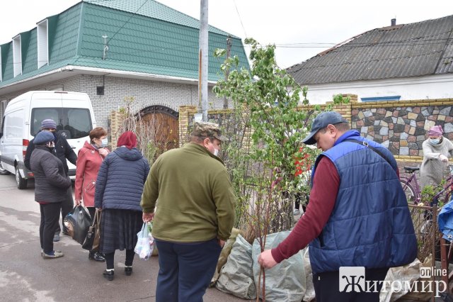 У райцентрі Житомирської області дозволили продавати саджанці. Торговці "заполонили" територію