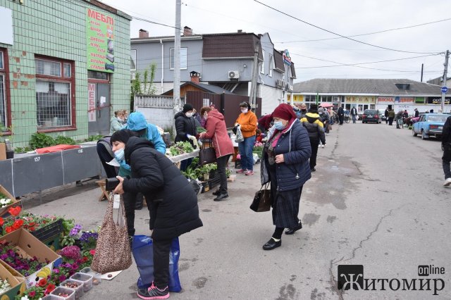 У райцентрі Житомирської області дозволили продавати саджанці. Торговці "заполонили" територію