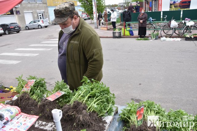 У райцентрі Житомирської області дозволили продавати саджанці. Торговці "заполонили" територію
