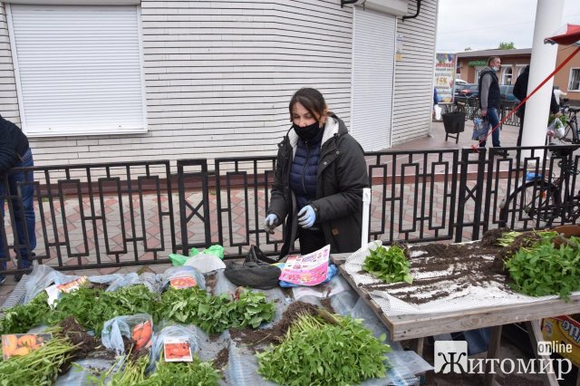 У райцентрі Житомирської області дозволили продавати саджанці. Торговці "заполонили" територію