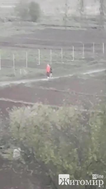 У Бердичеві шукають людину, яка врятувала пса від безжального господаря. ФОТО