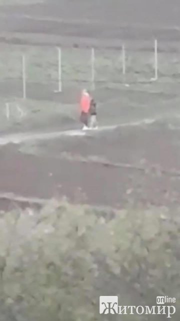 У Бердичеві шукають людину, яка врятувала пса від безжального господаря. ФОТО