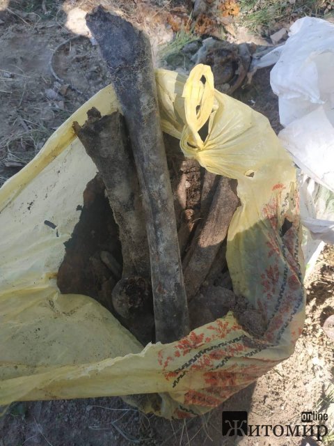 На Житомирщині шукачі металу знайшли останки радянського солдата, перебрали "з ніг до голови" та склали в пакет. ФОТО