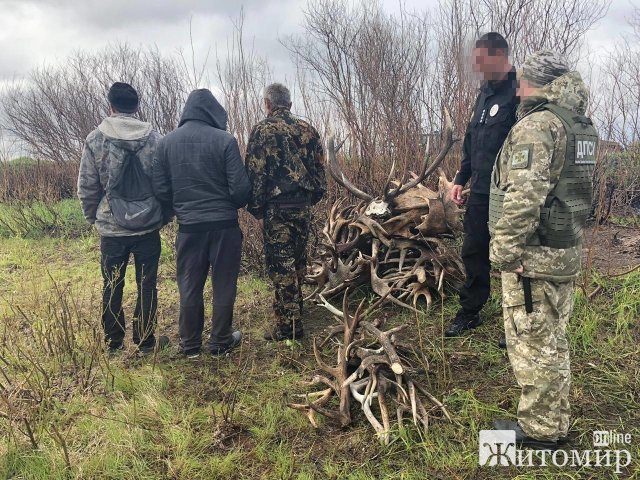 Житомирські прикордонники затримали чоловіків, які в Чорнобильській зоні збирали оленячі роги. ФОТО