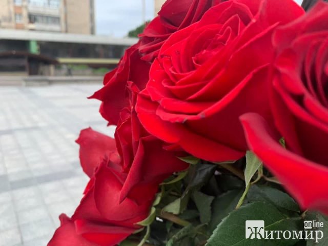 У Житомирі вшанували військових, які загинули на сході України. ФОТО