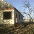 У Романівському районі вкотре хочуть продати будівлю ветлікарні У Романівському районі вкотре хочуть продати будівлю ветлікарні
