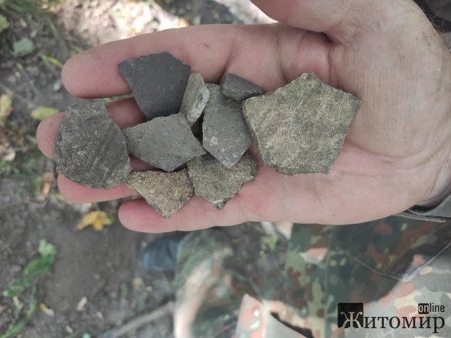 На території, де знайшли городище часів Київської Русі в Житомирській області, встановлять камери. ФОТО