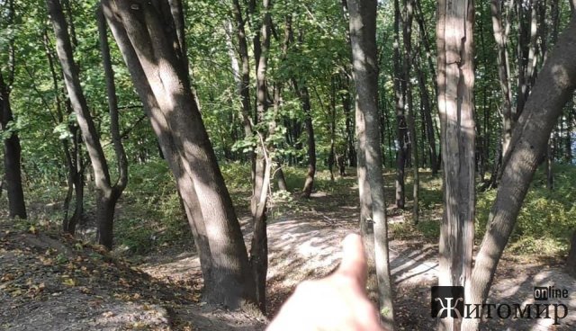 На території, де знайшли городище часів Київської Русі в Житомирській області, встановлять камери. ФОТО