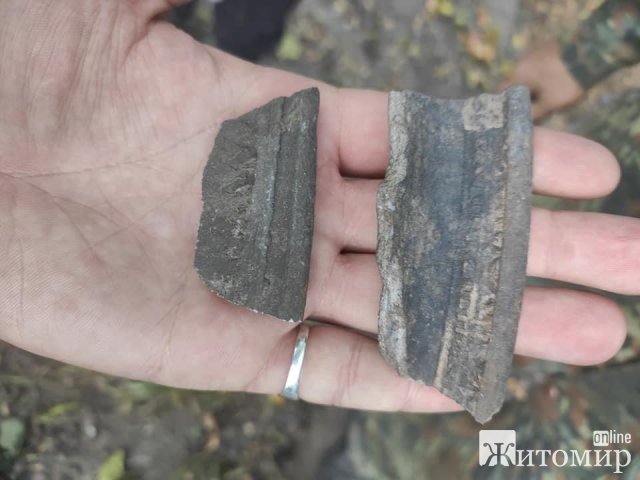 На території, де знайшли городище часів Київської Русі в Житомирській області, встановлять камери. ФОТО