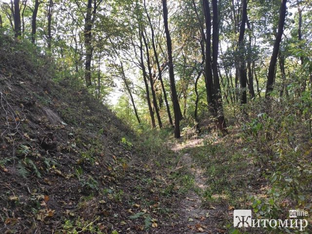 На території, де знайшли городище часів Київської Русі в Житомирській області, встановлять камери. ФОТО