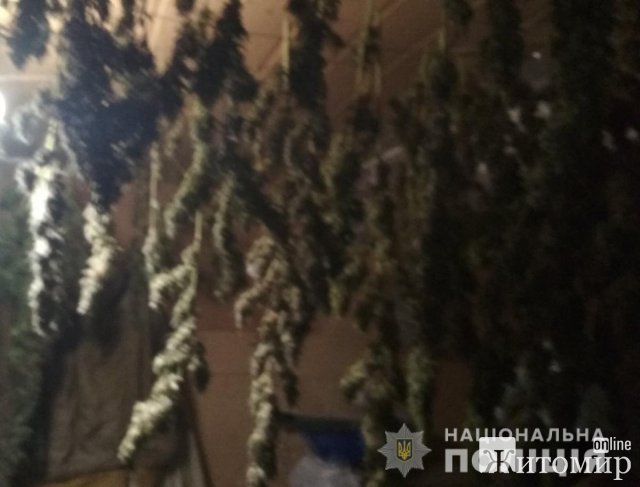 На Житомирщині поліцейські вилучили у чоловіка наркотичні засоби вартістю у кілька десятків тисяч 