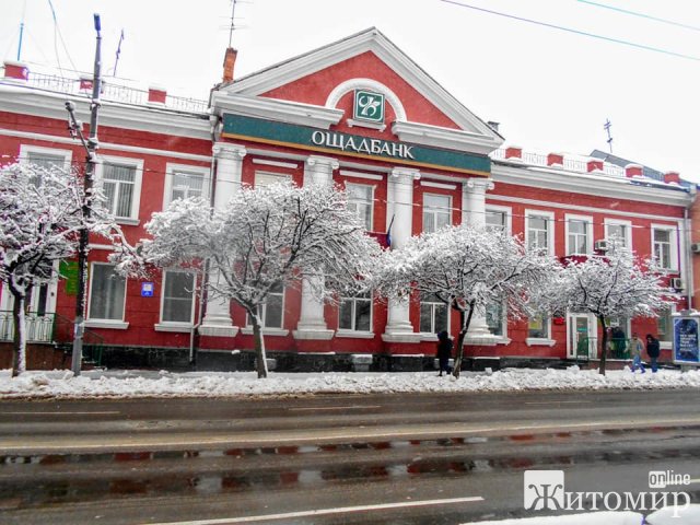 Ностальгія за сніжною зимою в Житомирі. ФОТО